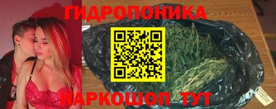 ПСИЛОЦИБИНОВЫЕ ГРИБЫ Гусь-Хрустальный