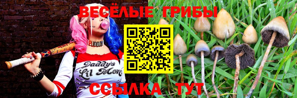 Знаменск  Галлюциногенные грибы мухоморы  Вход с VPN 